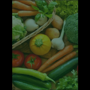 vegetable_original_copy_2_copy_1_copy_1_copy_1_copy_1